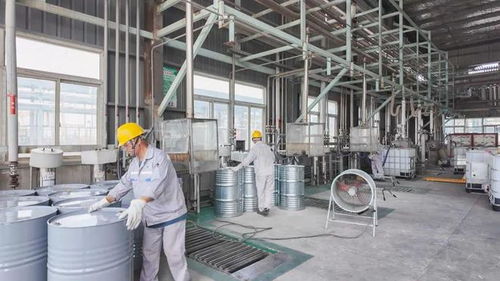 年產34800噸日用百貨改擴建項目9月試生產，助推濱海產業升級